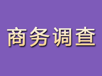 本溪商务调查